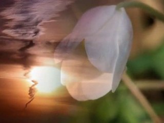 Ніч яка місячна - Ukrainian folk song by Hryhoriy Harkusha