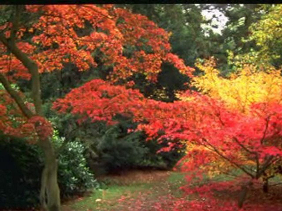 ETME (Mevlana) Muhammed Kaya