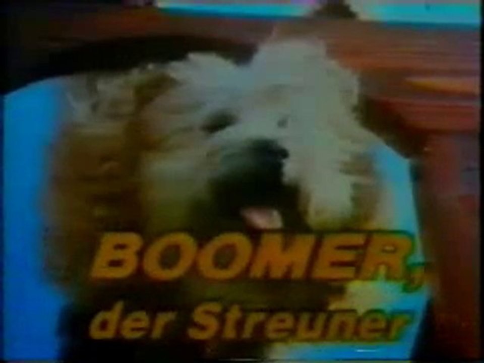 Boomer der Streuner - video dailymotion