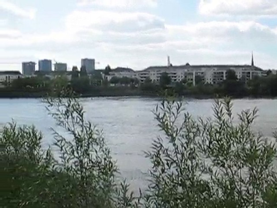 Saint Sébastien sur Loire : bords de Loire