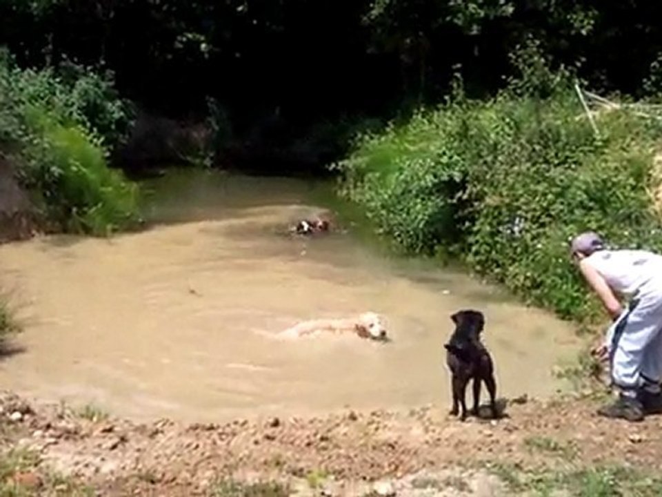Vidéo0064