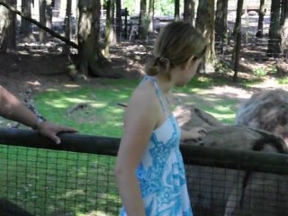 Esel im Wildgehege Hellenthal