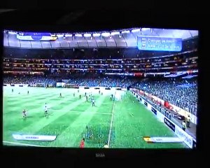 Coupe du monde de la FIFA 2010: south africa (360)