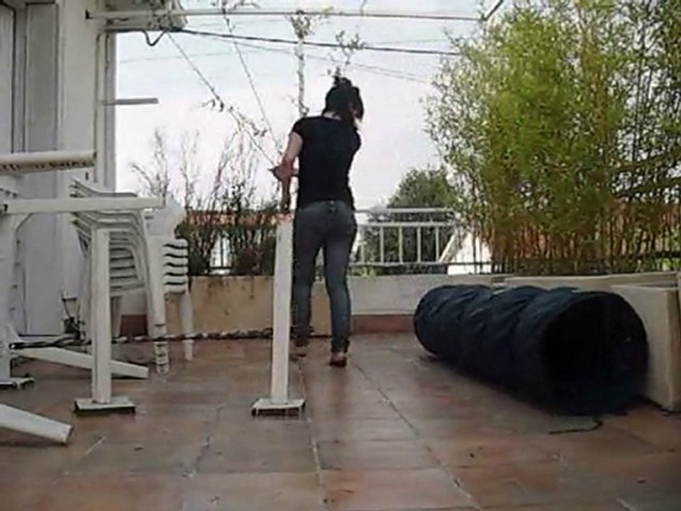 avion