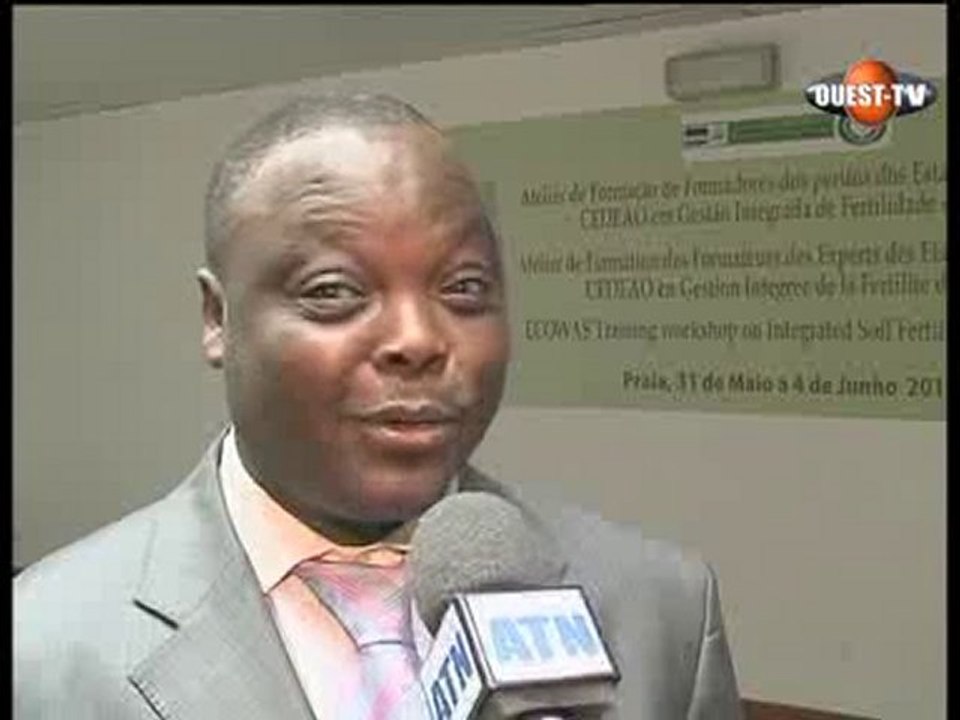 Impact Cedeao du 19 Juin 2010