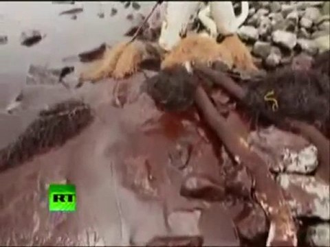 GULF OIL SPILL (BIBLE PROPHECY)