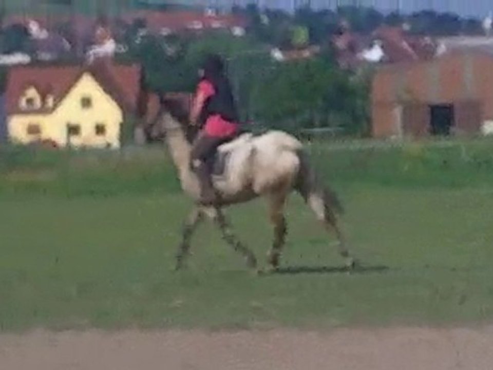 cross avec quercy le 28/06/2010