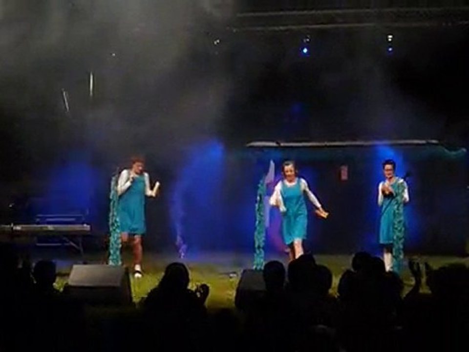 Moulins 35 désARTiculé Concert les Filharmonic Von Strasse