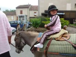 fête de l'âne
