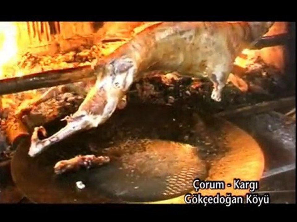 tekgeşin
