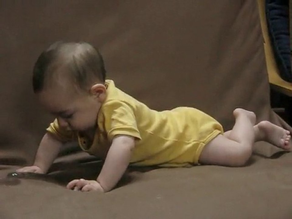 Morgan 5 mois première fois qu'il s'entraîne aux 4 pattes