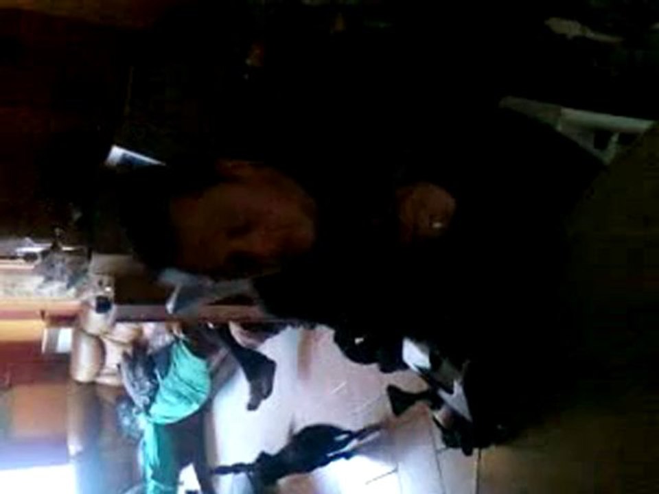 MON AMI DAVID DIT MON 2EME PAPA MDR