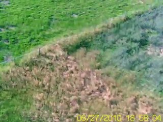 Cessna 182 Easy Model: A Beginner's Aerial Experience