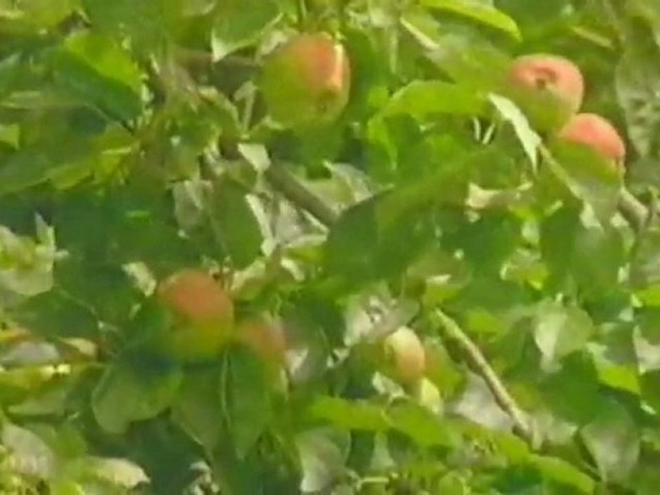 How can I keep from singing