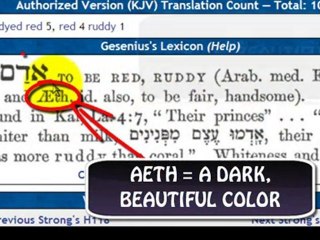 PT4 LAMENTATION 4:7 BREAKDOW (RE-TRANSLATED)