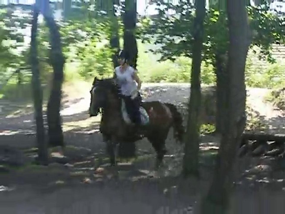 27 juin - Aly et Flashe