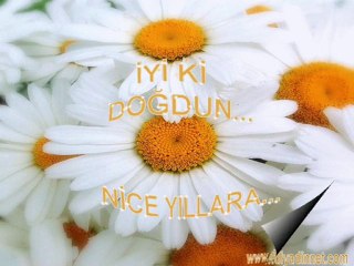 Nice Nice Yıllara Yadem