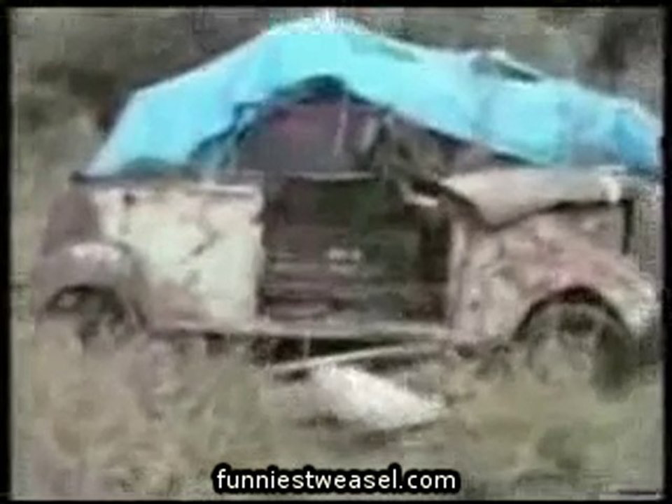 HILARIOUS Funny Cats