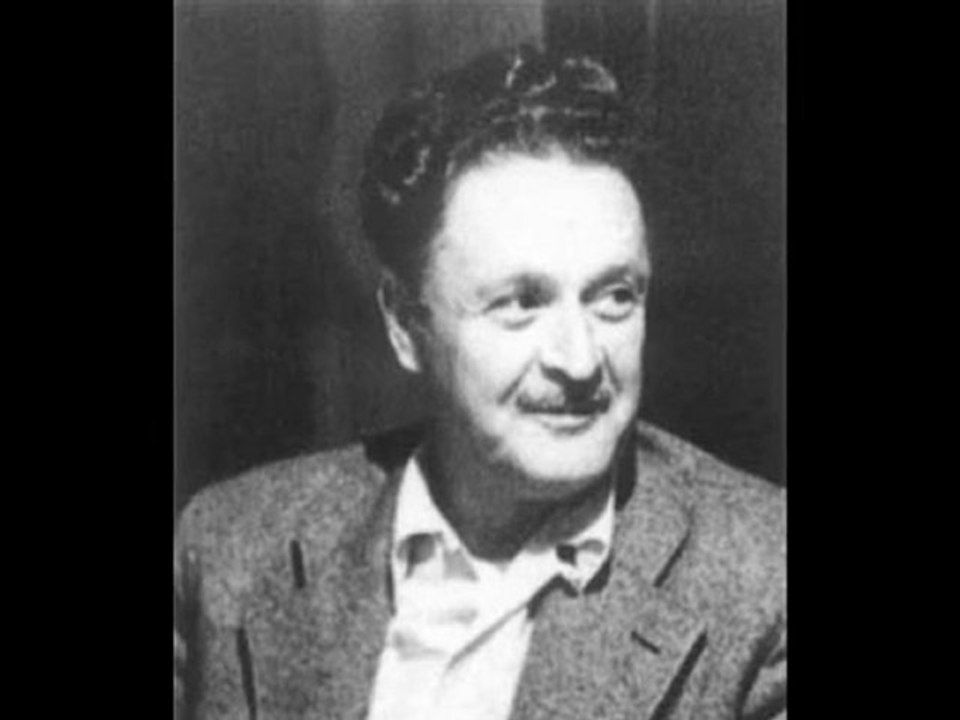 hasan yükselir tuna nazım hikmet şiirleri