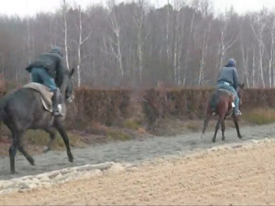 landes20202010
