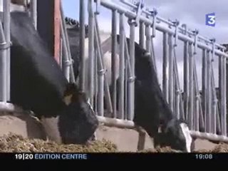 Alimentation animale toute OGM  une vidéo du  08/06/07