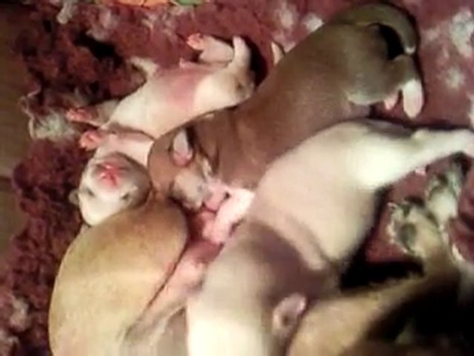 bébé de daisy a une semaine