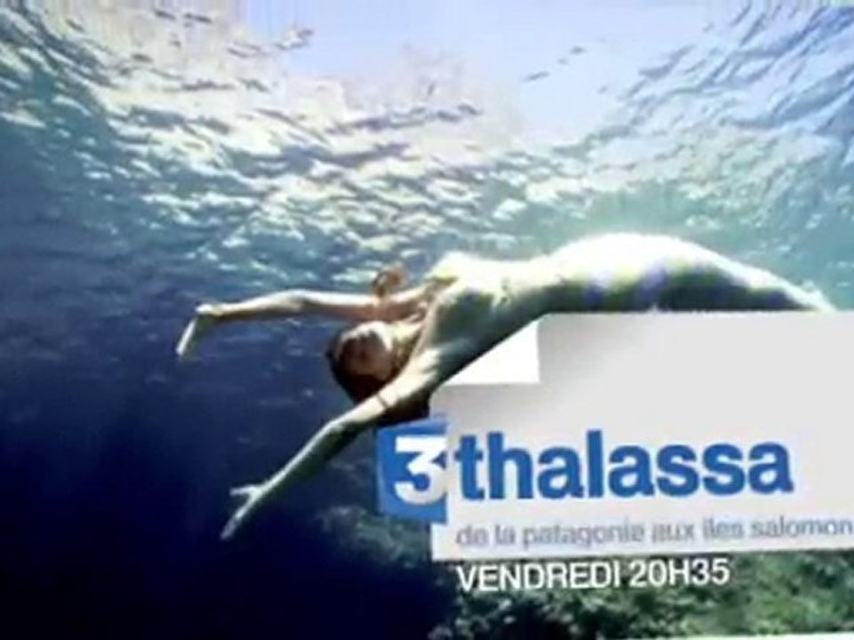 Thalassa : de la Patagonie aux îles Salomon