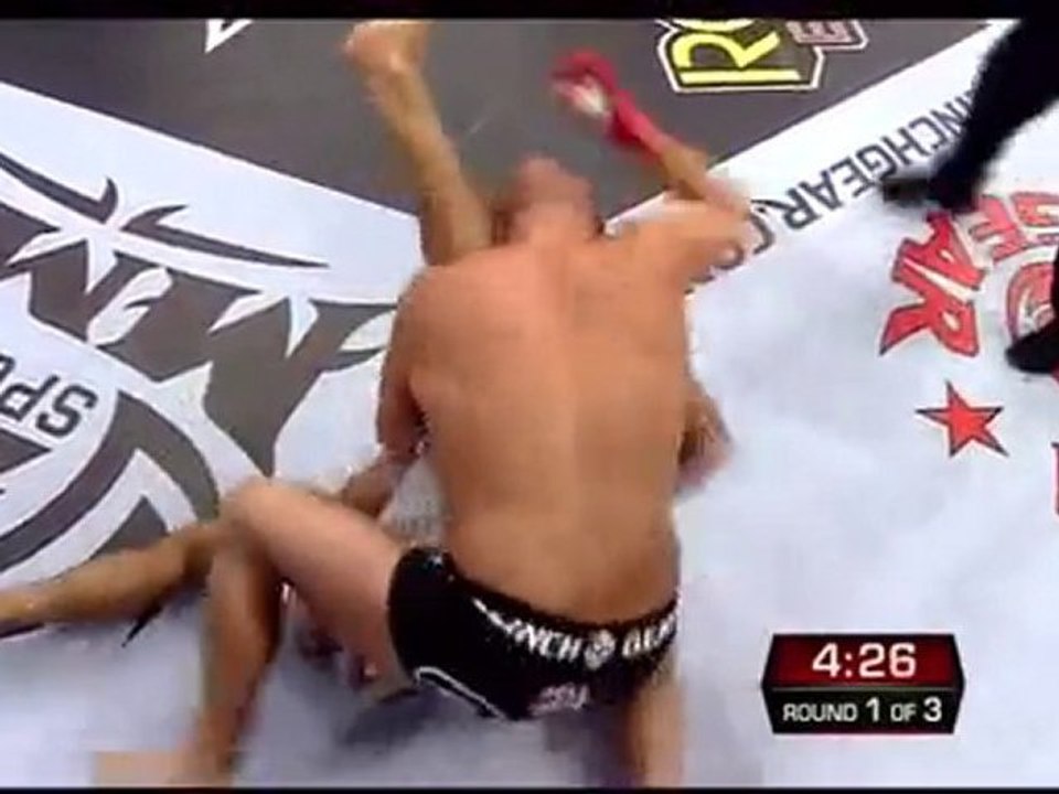 fedor vs werdum