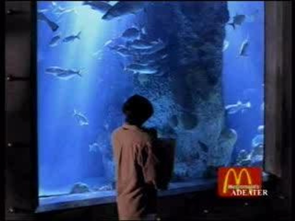 Video_Animaux_172