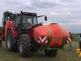 Terre à terre 2010 : Amazone