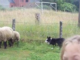 gaby 1 mois entrainement