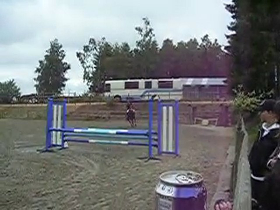 CSO Bièvre - Dimanche 20 juin 2010 - 80cm