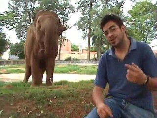 Programa Território Animal