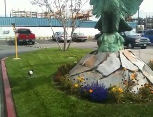 Landscape Services Orange County