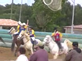 Horse ball jeune Ouveillan St george d'orque