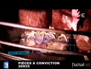 Le zapping du 29 juin 2010