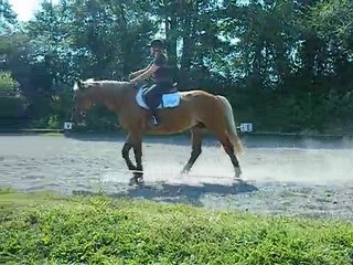 reprise de dressage club3