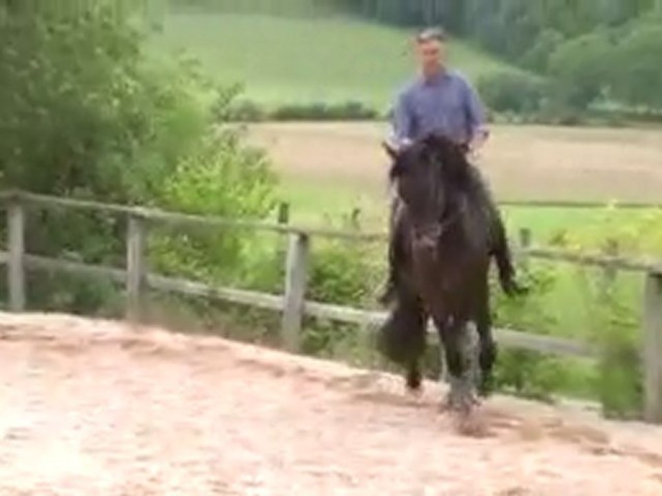 Belmonte