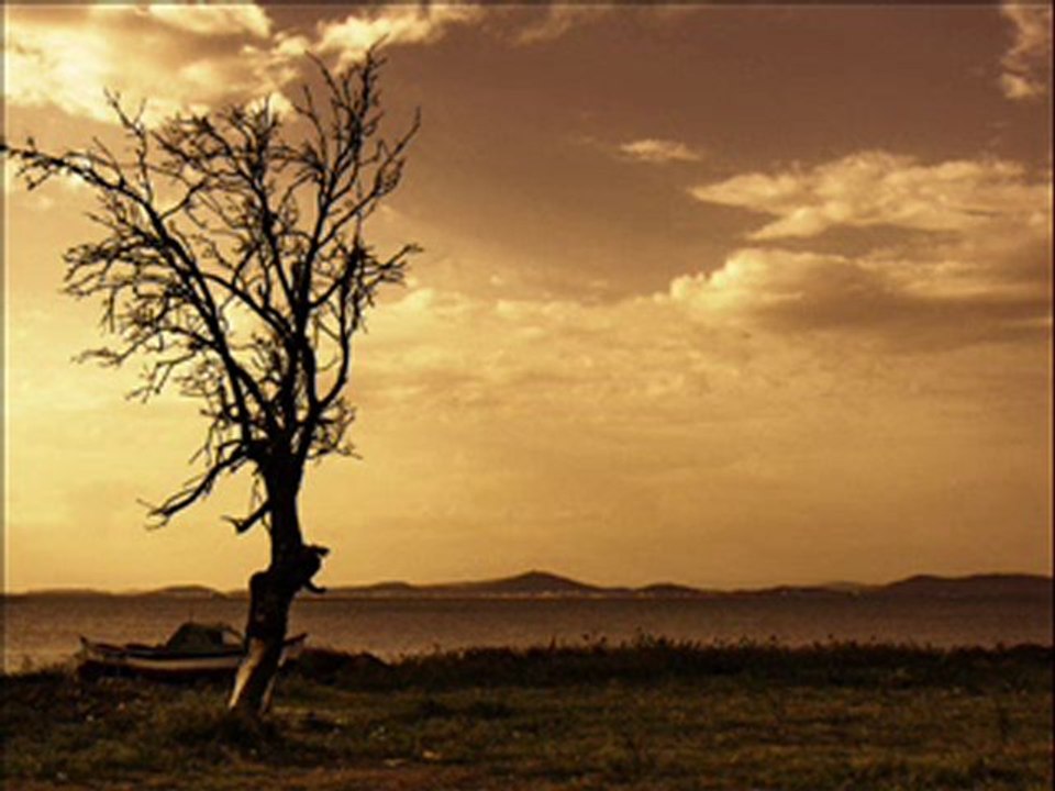 zeki müren - sen kimseyi sevemezsin