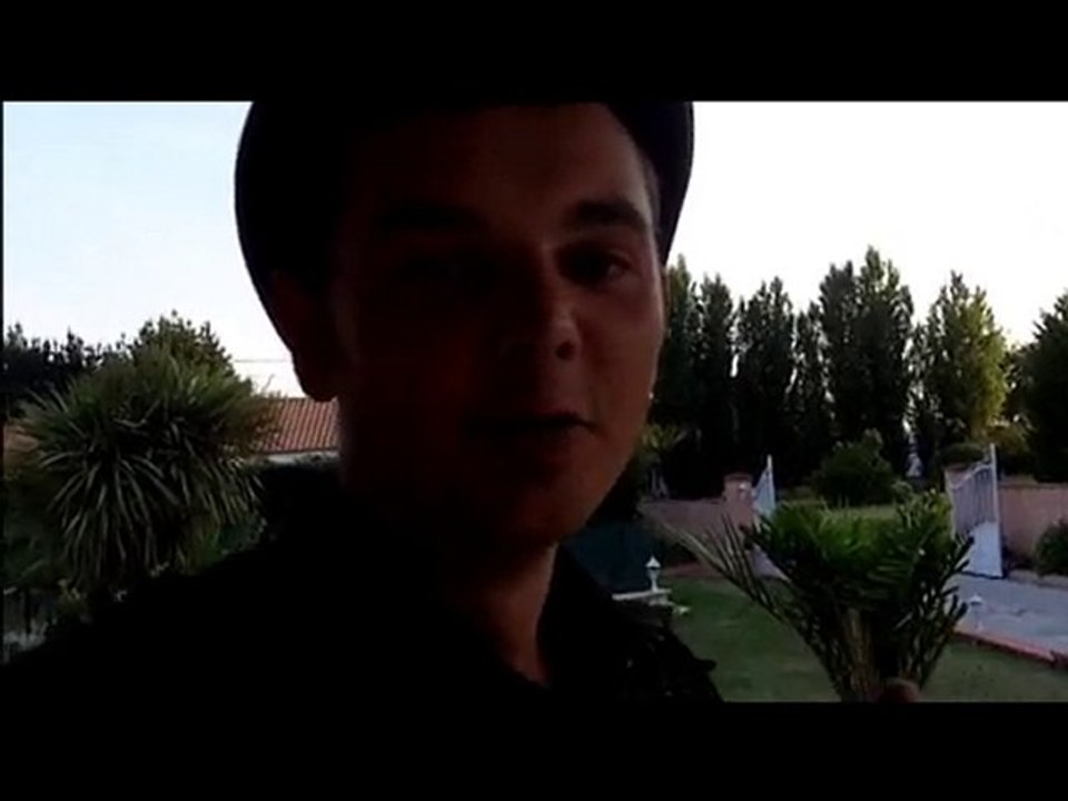 phrase du jour du 30.06.10