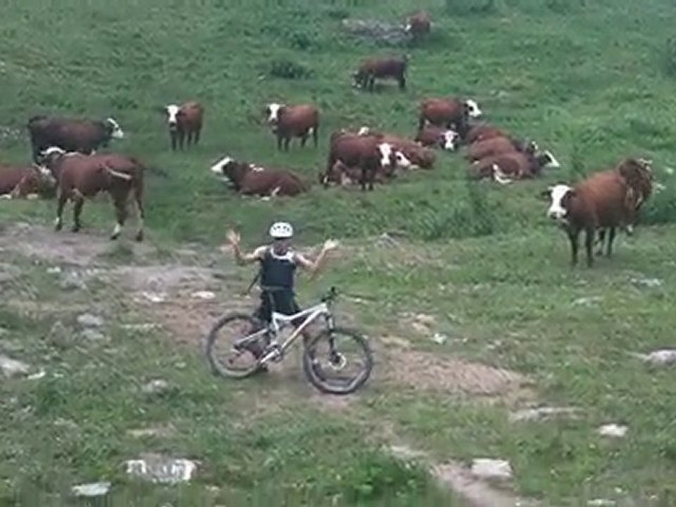 Danse rastafari-riders