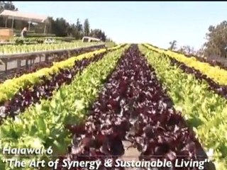 Ka Ipu Kukui Fellows 2009-2010