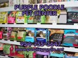 Purple Poodle Pet Center, Best Dog Boarding in Coral Springs