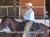 Horse training Horseback Riding Pointers for Safety