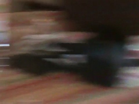 rire avec ma ptite soeur de coeur