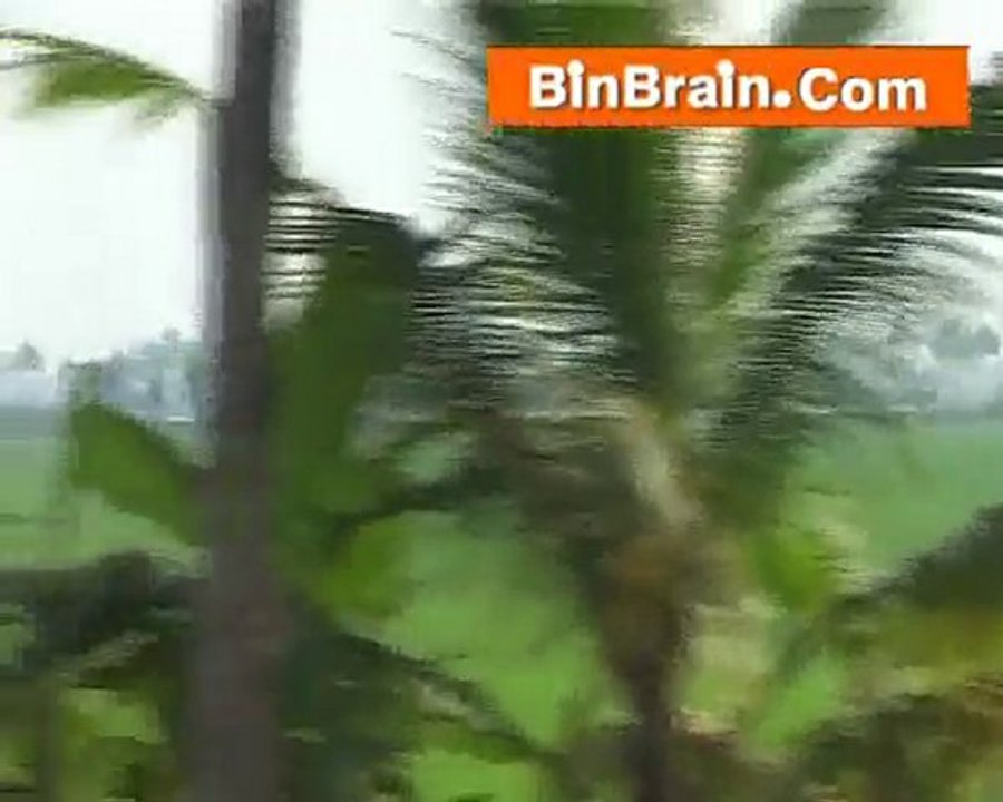 Boat travelling in Kumarakom
