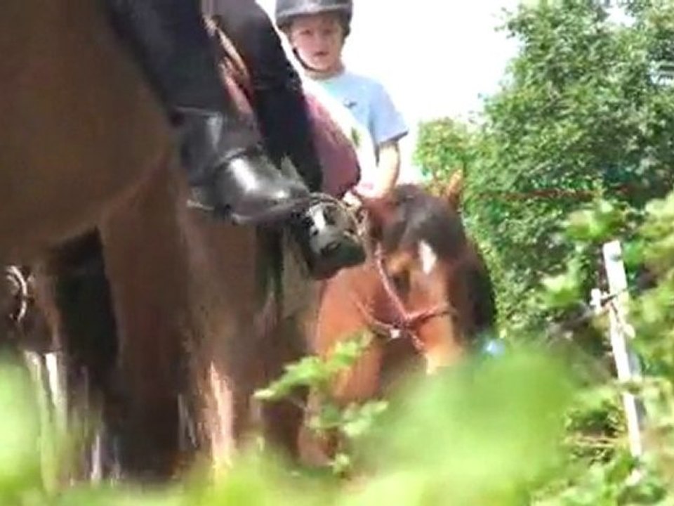 Centre équestre de la Grésigne à SAINT BEAUZILLE Tarn 81