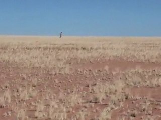 Un homme qui court à moitié nu dans le désert