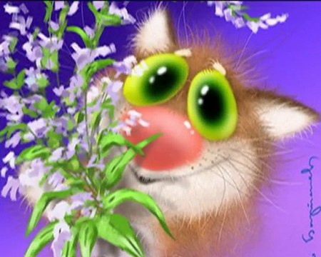 Сашуль,с Днём Рождения!!!!