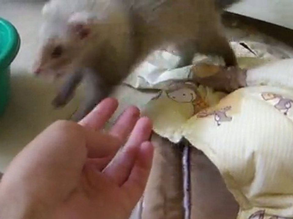 Lena en pleine séance de jeux